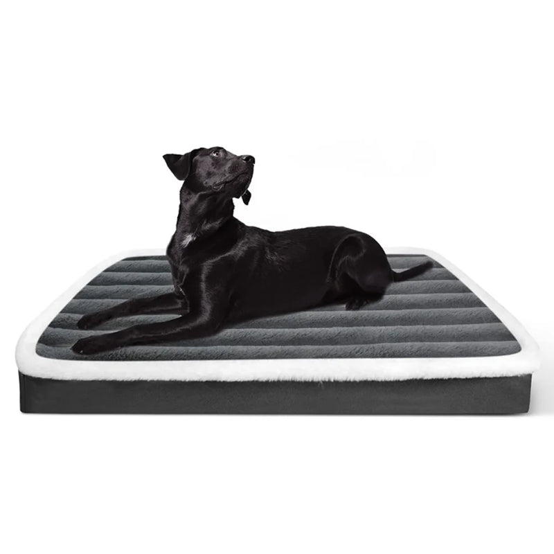 cama para cachorra com ziper